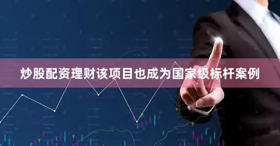 炒股配资理财该项目也成为国家级标杆案例