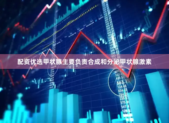 配资优选甲状腺主要负责合成和分泌甲状腺激素