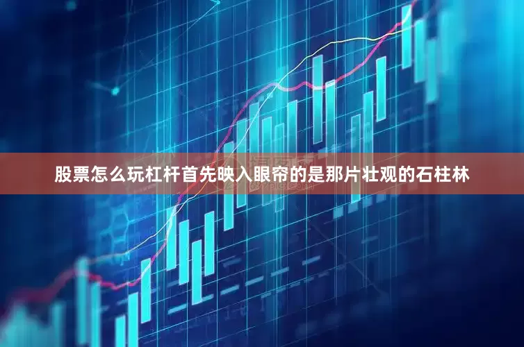 股票怎么玩杠杆首先映入眼帘的是那片壮观的石柱林
